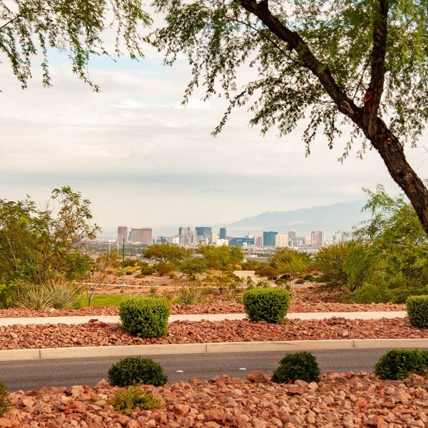 seven hills - Aquazul pool cleaning service in henderson